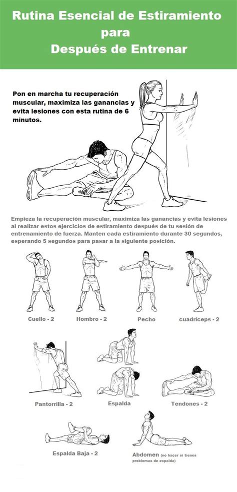 Estiramiento Para Después Del Ejercicio Post Workout Stretches