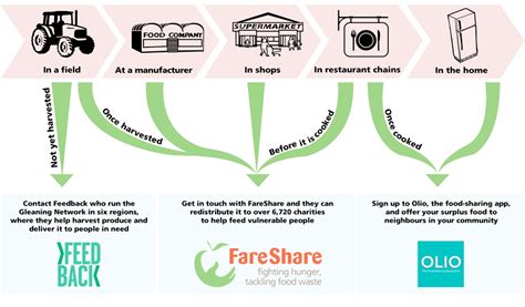 How To Fight Food Waste From Field To Fork Fareshare