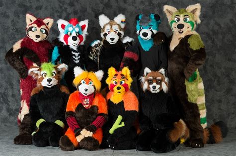 Fc 2013 Red Panda Fursuit Photoshoot By Red Striped Fur Affinity
