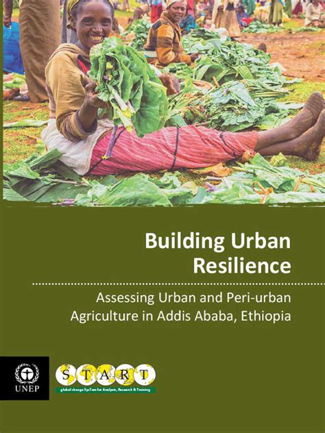 Building Urban Resilience Assessing Urban And Peri Urban Agriculture