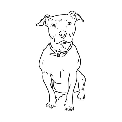 Dibujo Vectorial Dibujo Pitbull Ladrando Pit Bull Terrier Perro Dibujo