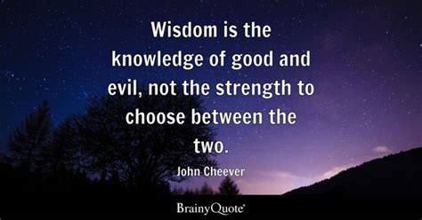 Good And Evil Quotes Brainyquote