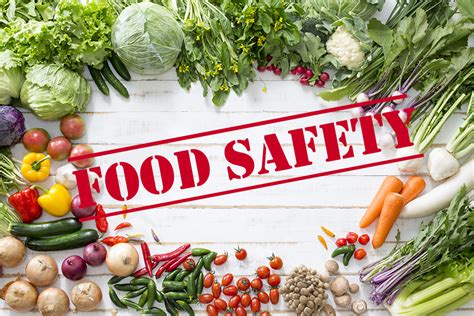 Food Safety Level 2 Course 1 Day Course Nvq Training Uk