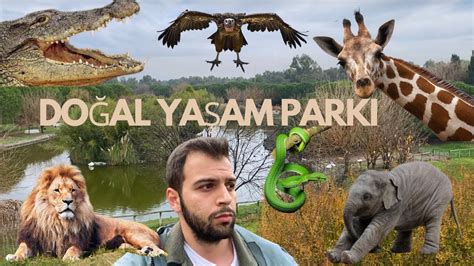 Zm R Sasali Do Al Ya Am Parki Vlog Hayvanat Bah Es Youtube