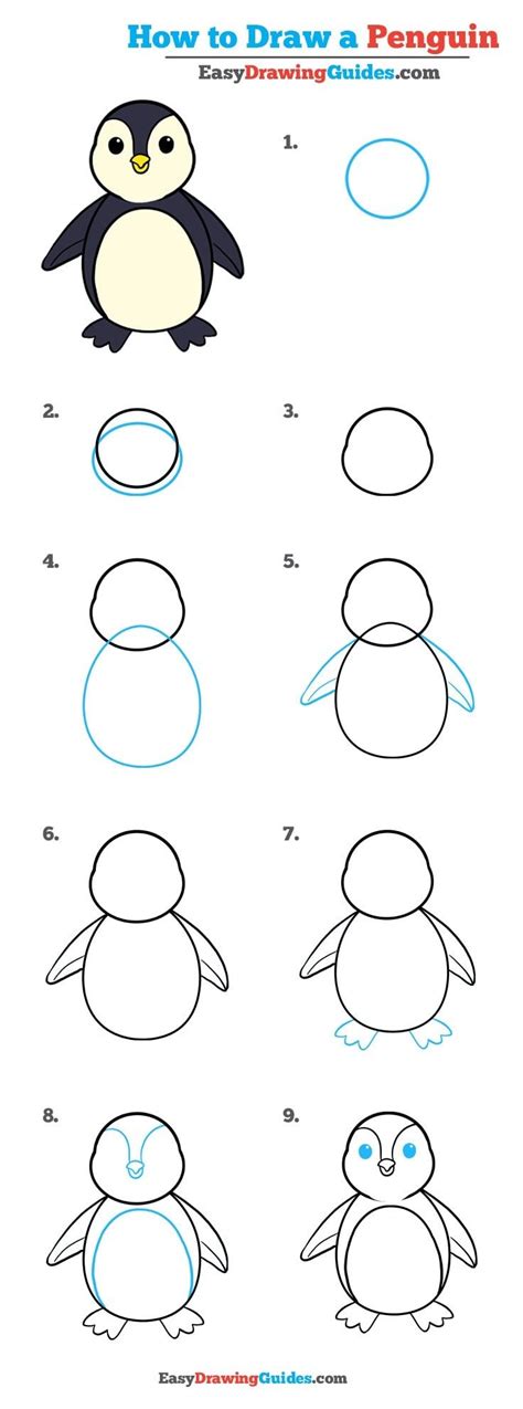 How To Draw An Easy Cartoon Penguin