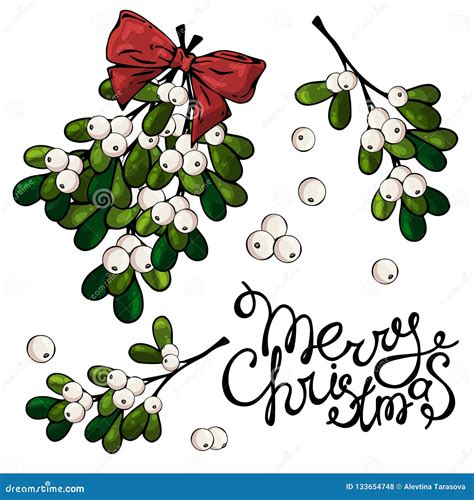 Christmas Mistletoe Stock Vector Illustration Of Sweet 133654748