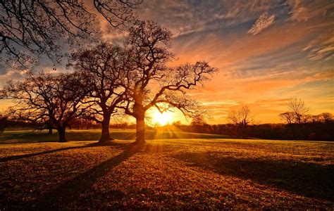 Autumn Sunset By Adrian Walmsley