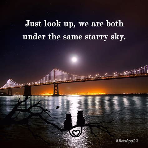 Just Look Up We Are Both Under The Same Starry Sky Unknown Whatsapp24