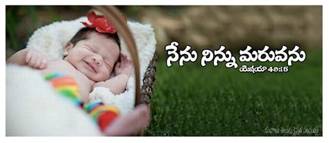 John, bible, quotes, free, bible, verse, wallpapers, free, name : TELUGU CHRISTIAN BIBLE VERSES WALLPAPERS - I ~ Freely you ...