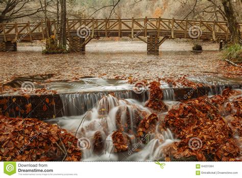 Beautiful Waterfall In Forest Autumn Landscape Stock