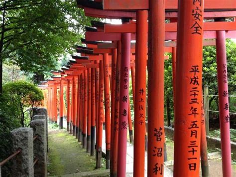 The Best Things To Do In Ueno Tokyo Top Places To Visit In 2022