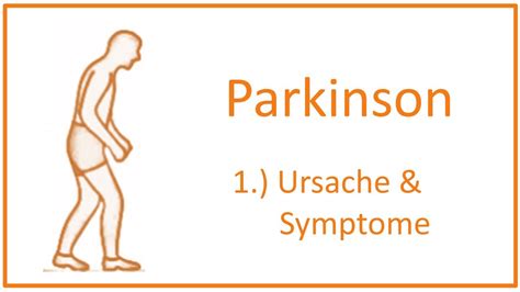 Parkinson Grundlagen Symptome Erklärt Von Dr Porsche