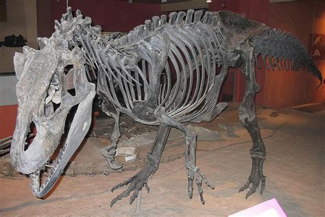 Аллозавр грозный враг стегозавра Динофакты