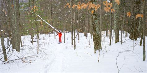 Cross Country Skiing And Snowshoeing Whiteface Region
