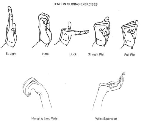 Ulnar Nerve Exercises Post Op Carpal Tunnel Therapy Exersize