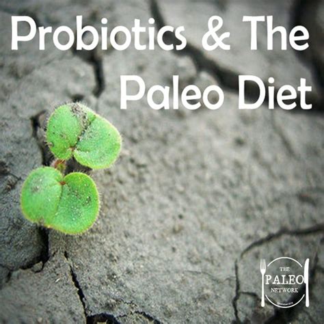 should you take probiotics the paleo network