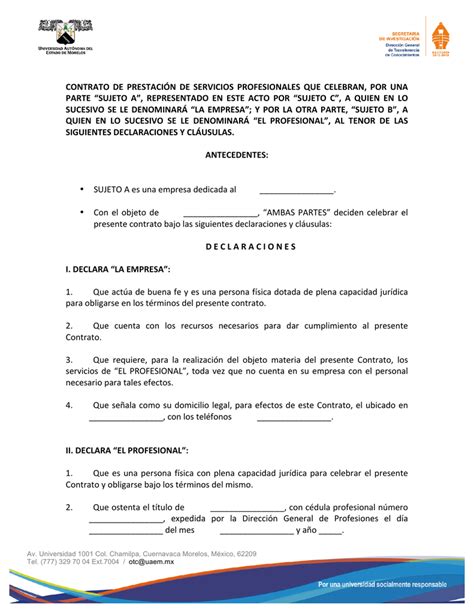 Contrato De Servicios Profesional Es Ejemplo