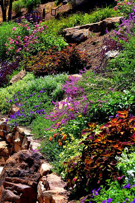 Xeriscaping Gardening For Water Conservation