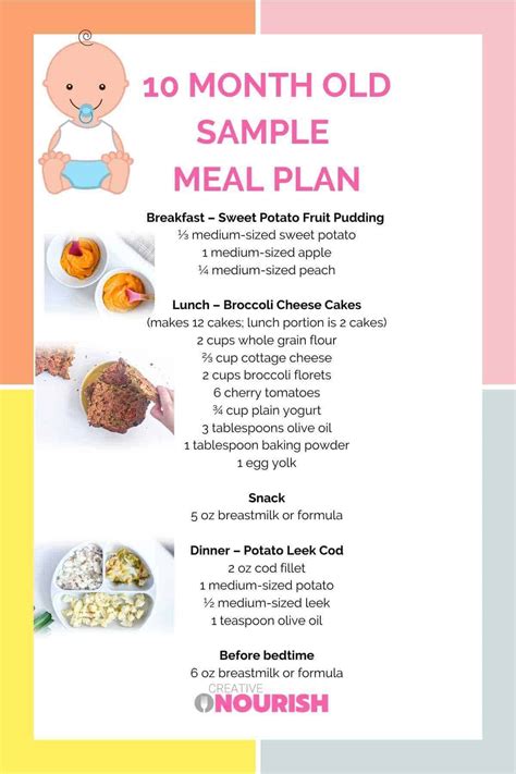 10 Month Old Meal Plan Nutritionist Approved Creative Nourish