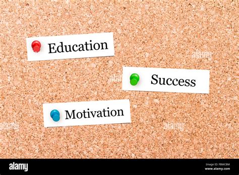 Close Up Front View Of Illustrative Corkboard With Education Success