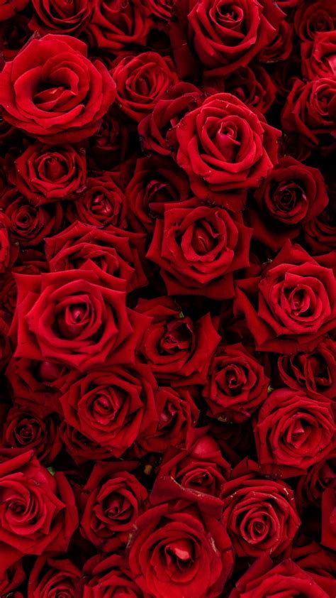 Rose Bouquet Flowers Red 1080x1920 Wallpaper Papel De Parede Flor