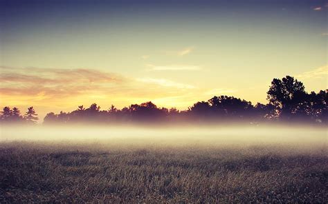 Morning Mist Beautiful Natural Scenery Hd Wallpaper Peakpx