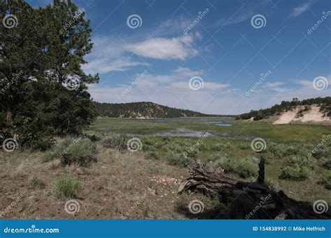 Eastern End Quemado Lake In New Mexico Stock Photo Image Of Rural