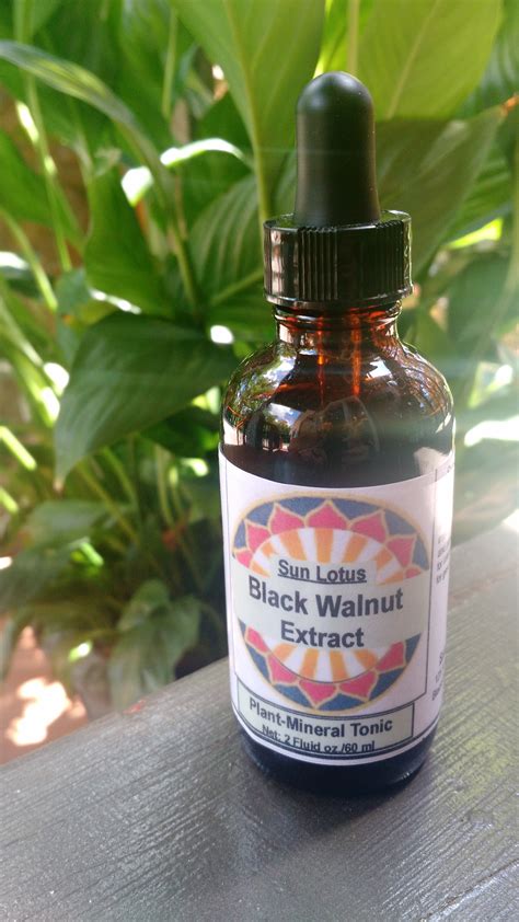 Black Walnut Extract