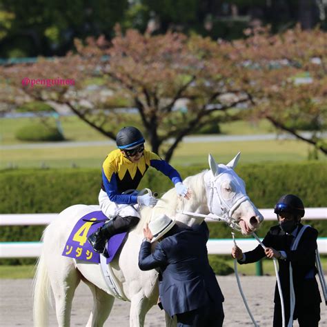 このアカウントには、性的興奮を催すリンクや破廉恥な画像を多数含みます。 もし嫌悪感を感じたらミュートないしはブロック下さい。 #uncensored #無修正 #pornstar #av女優. 【画像】白毛馬のソダシが勝利 その美しさにウマ娘ファンも ...