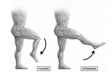 Knee Flexion Extension Krumur Clinic
