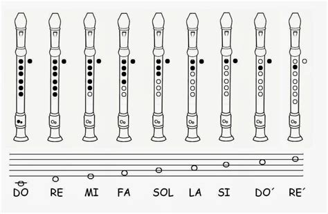 Como Aprender Las Notas Musicales En Flauta Comohow