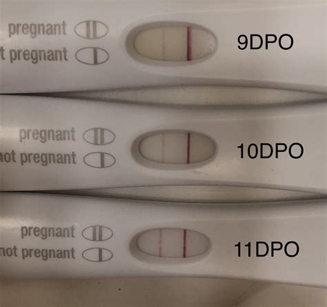 Positive Ovulation Test Update Pregnancy Tests Bfp Tmi Warning
