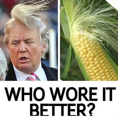 The Best 2016 Presidential Election Memes For Your Viewing Pleasure A Definitive Roundup By