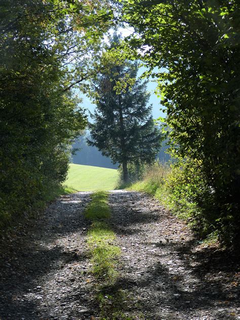 Theresa von Avila Berlin: Wandern