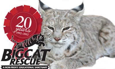 Find hotels near big cat rescue, the united states online. Big Cat Rescue | Tampa Bay Business ListingsTampa Bay ...