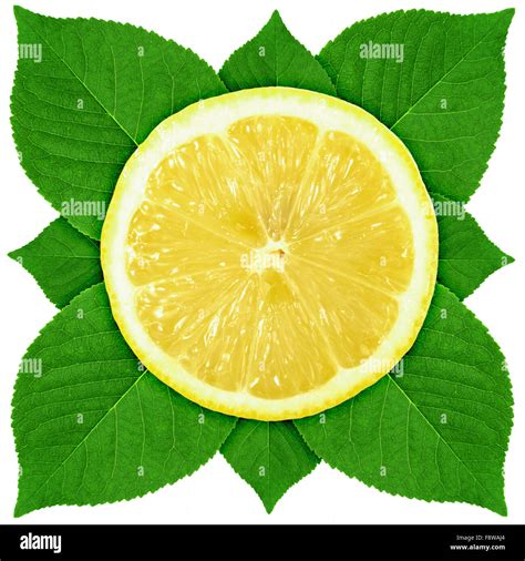 Single Cross Section Of Lemon With Green Leaf Stock Photo Alamy