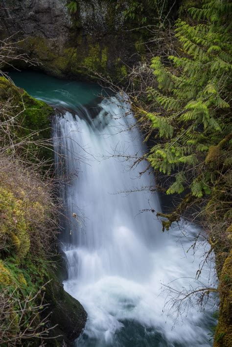 Deschutes Falls Thurston County Washington Northwest Waterfall Survey