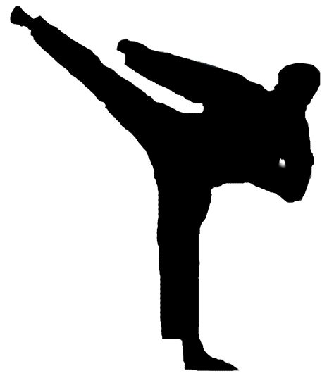 Tae Kwon Do Taekwondo Traditional Martial Arts Martial Arts Birthday