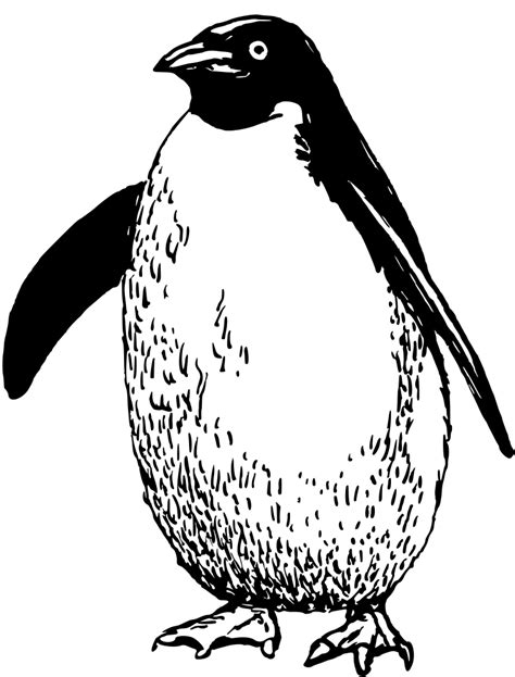 Onlinelabels Clip Art Penguin 3