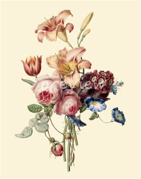 Vintage Flower Print Wall Art Victorian Print Decor Antique