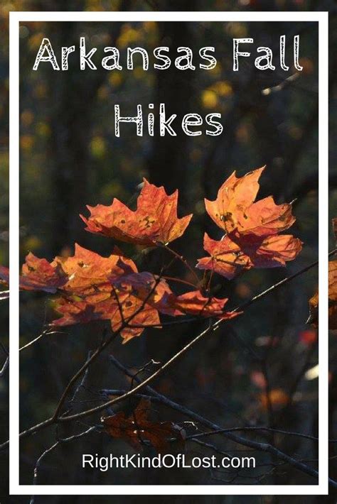 Favorite Arkansas Fall Hikes Right Kind Of Lost Fall Hiking