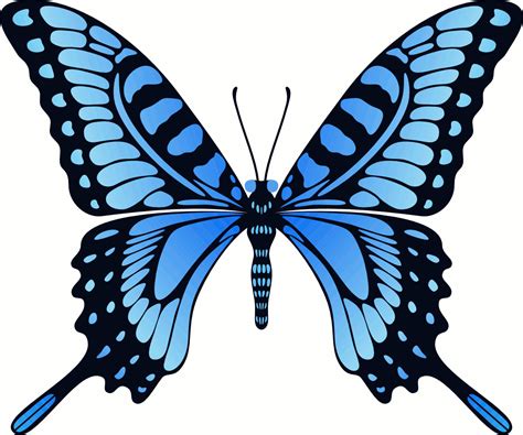 Flying Blue Butterfly Animation  By Cencerberon On Deviantart
