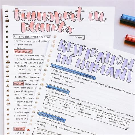 Biology Notes Super Cute Layout Follow Us Motivation2study For