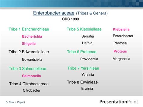 Ppt Enterobacteriaceae Powerpoint Presentation Free Download Id
