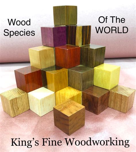 Wood Species Of The World Collection Kings Fine Woodworking Inc