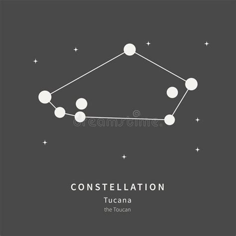The Constellation Of Tucana The Toucan Linear Icon Vector