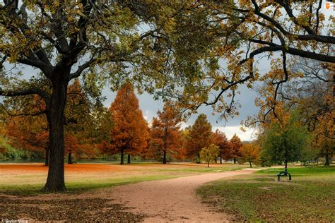 Jesienny Krajobraz W Parku