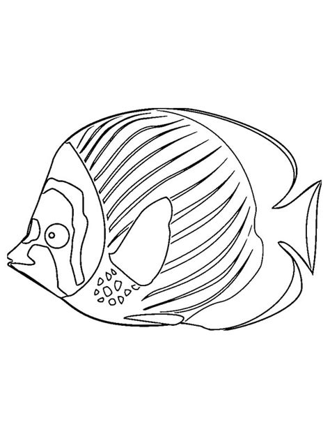 Disegni Da Colorare Di Pesce Disegnibellidacolorare It