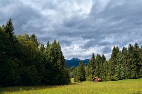 187 Old Wooden Hut Pine Tree Meadow Stock Photos Free And Royalty Free