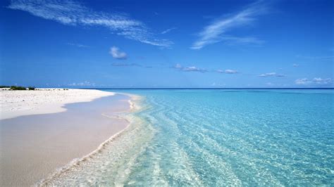 Tropical Beach Wallpapers 20 Photos Virtual University